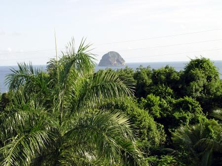 Martinique Juillet 2004